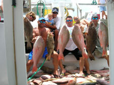 Click here to see some of the Key West Fish