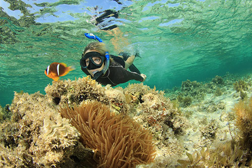 Snorkeling